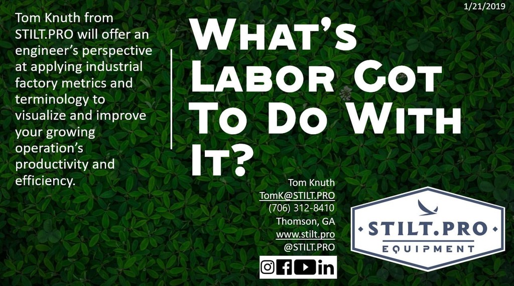 What’s Labor Got To Do With It? cover graphic