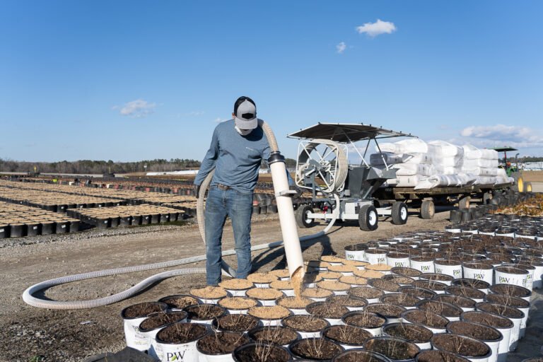 Operator applying rice hulls to containers with the blower hose