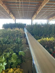 Shipping Conveyor
