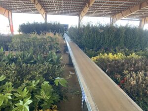 Shipping Conveyor